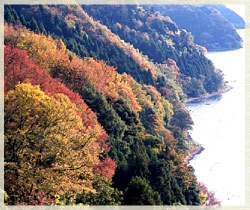 賤ヶ岳（しずがたけ）古戦場